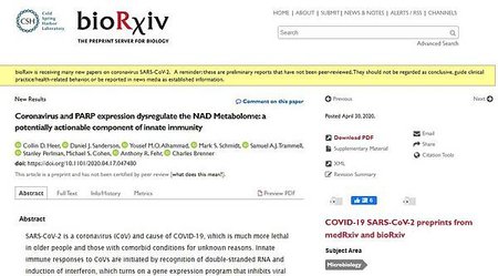 Coronavirus and PARP expression dysregulate the NAD Metabolome: a potentially actionable component of innate immunity