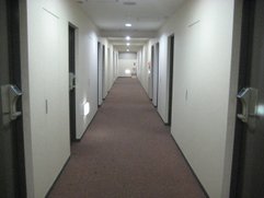 IMG_2925.jpg