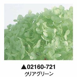 大地農園02160-721_繡球花哪裡買_繡球花介紹_永生花專賣_永生花推薦_愛意花坊-2022.jpg