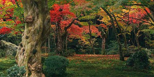 2-crop-u13050.jpg