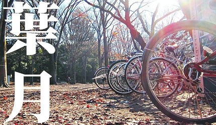 日本節氣12月份別稱由來日語葉月