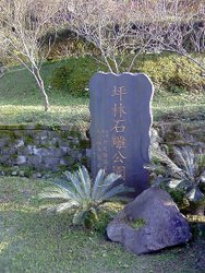 P14-01-10_16.03.jpg