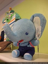 DSCF5385.jpg