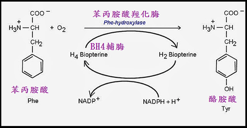 未命名.png