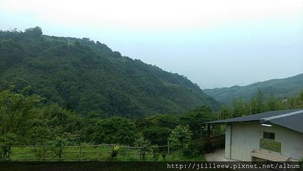 IMAG3516.jpg