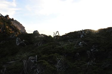 377-往南湖主峰-.JPG