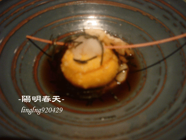 DSC06128.gif