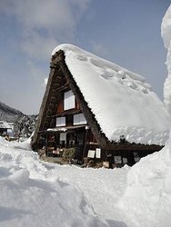 DSC00098.jpg