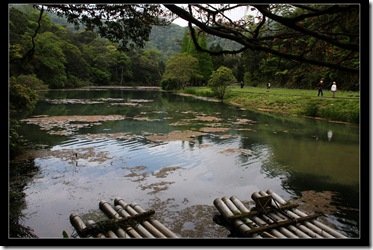 20100410 福山植物園_勝洋水草 IMG_9617