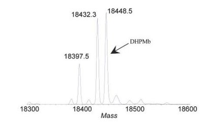 JACS2003MS.JPG