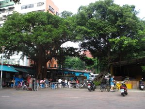 IMG_1737.JPG