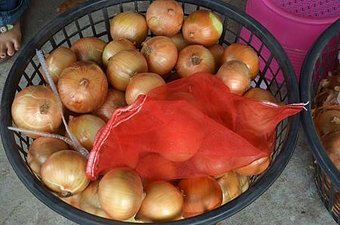 DSC_0175.JPG