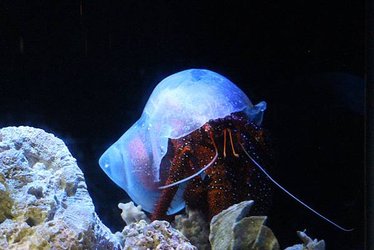 IMG_7899.JPG