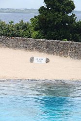 IMG_7987.JPG