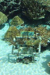 IMG_7857.JPG