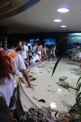 IMG_7850.JPG