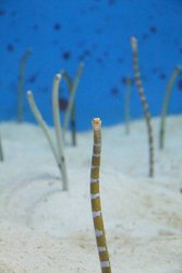 IMG_7896.JPG