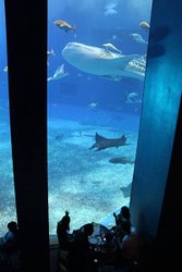 IMG_7908.JPG