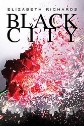 黑城 Black City