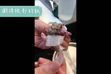 20210707清洗蔬果_陳月卿5