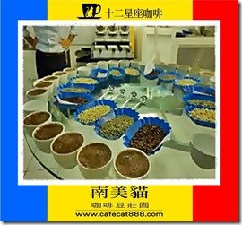 cupping3