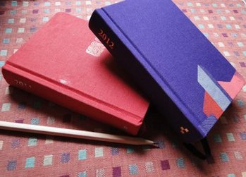 2012 diary.jpg