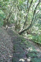 20121008二子坪蔡公坑山14.jpeg
