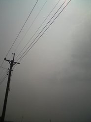 DSC00253.jpg