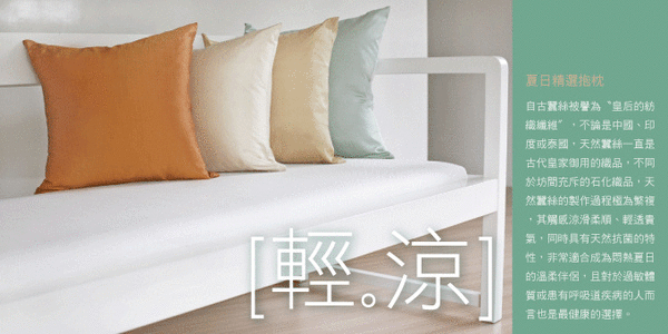 用素面抱枕營造家中清涼感