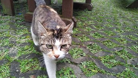 LINE_ALBUM_陽昇可用照片_230323_614.jpg