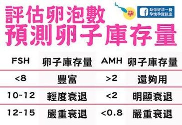 評估卵泡數 預測卵子庫存量