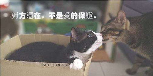 豆糖.jpg