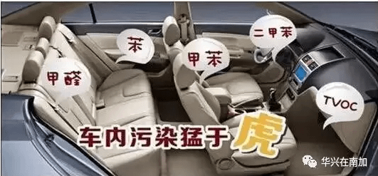danger in car.PNG