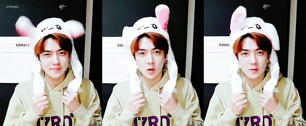 4.gif