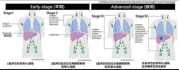 HL-Stage.tif