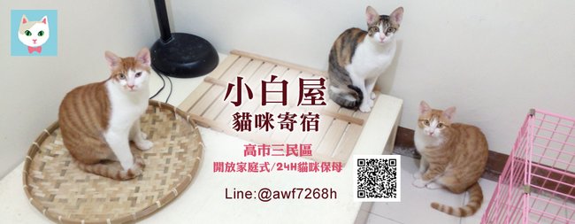 小白屋FB封面照.jpg