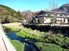 IMG_0331