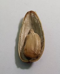 20190119_140006.jpg
