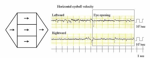 Figure1.JPG