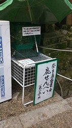 DSC_3457.jpg