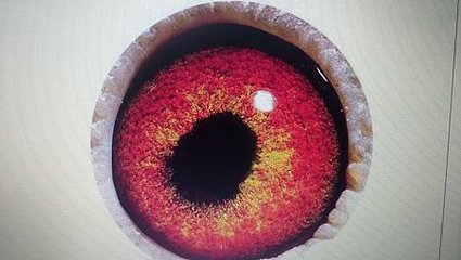 20141225_130241