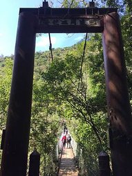 IMG_3203.JPG