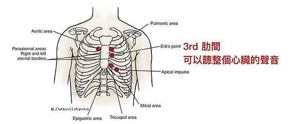 聽診位置2