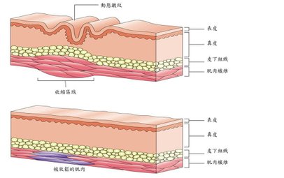 圖片1.jpg