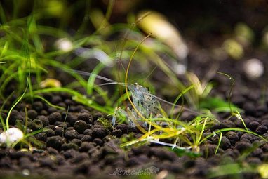 DSC_9972.jpg