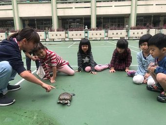 烏龜🐢散步趣_181130_0001.jpg