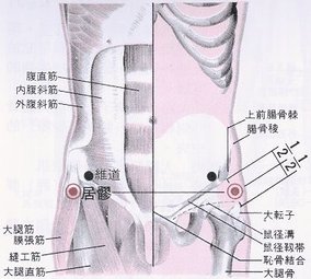 居髎穴.jpg