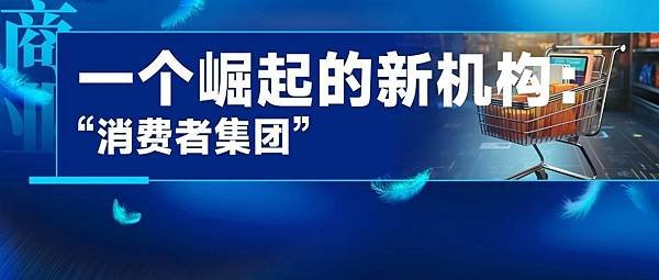 一個崛起的新機構：“消費者集團”