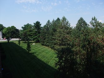 View from Balcony.JPG