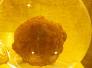 2010-8-25 下午 12-37-55_0183.JPG
